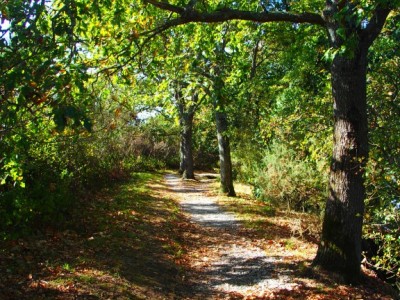 Sentier de pont carnac vers le bourg