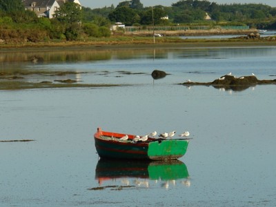 Une plate pour le repos des goelands