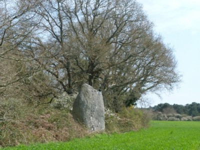 Menhir du Villionnec